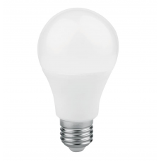 LED lamp 12 W A60 matte E27